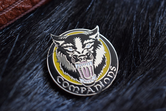 Companions Enamel Pin image 1