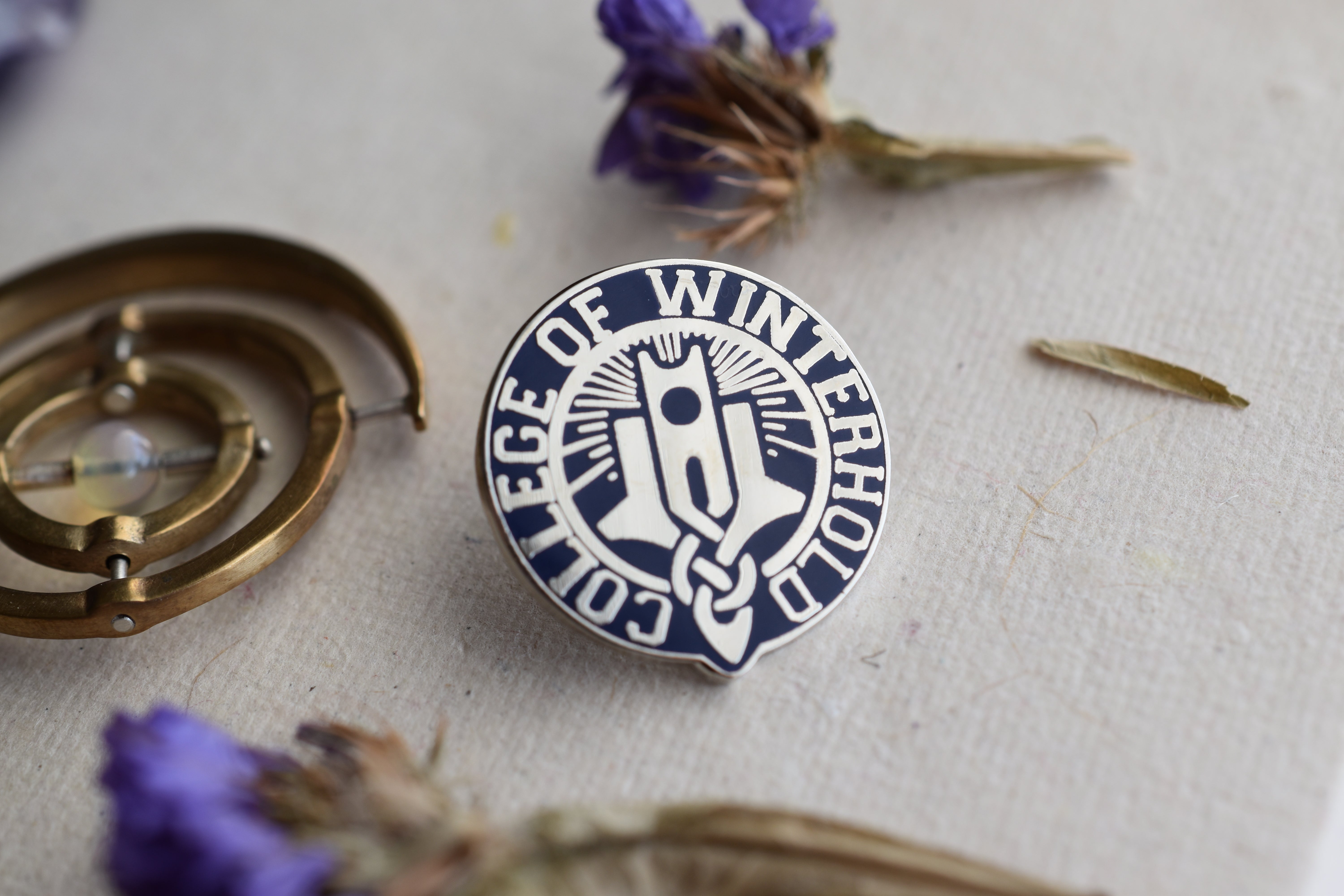 College of Winterhold Enamel Pin image 0