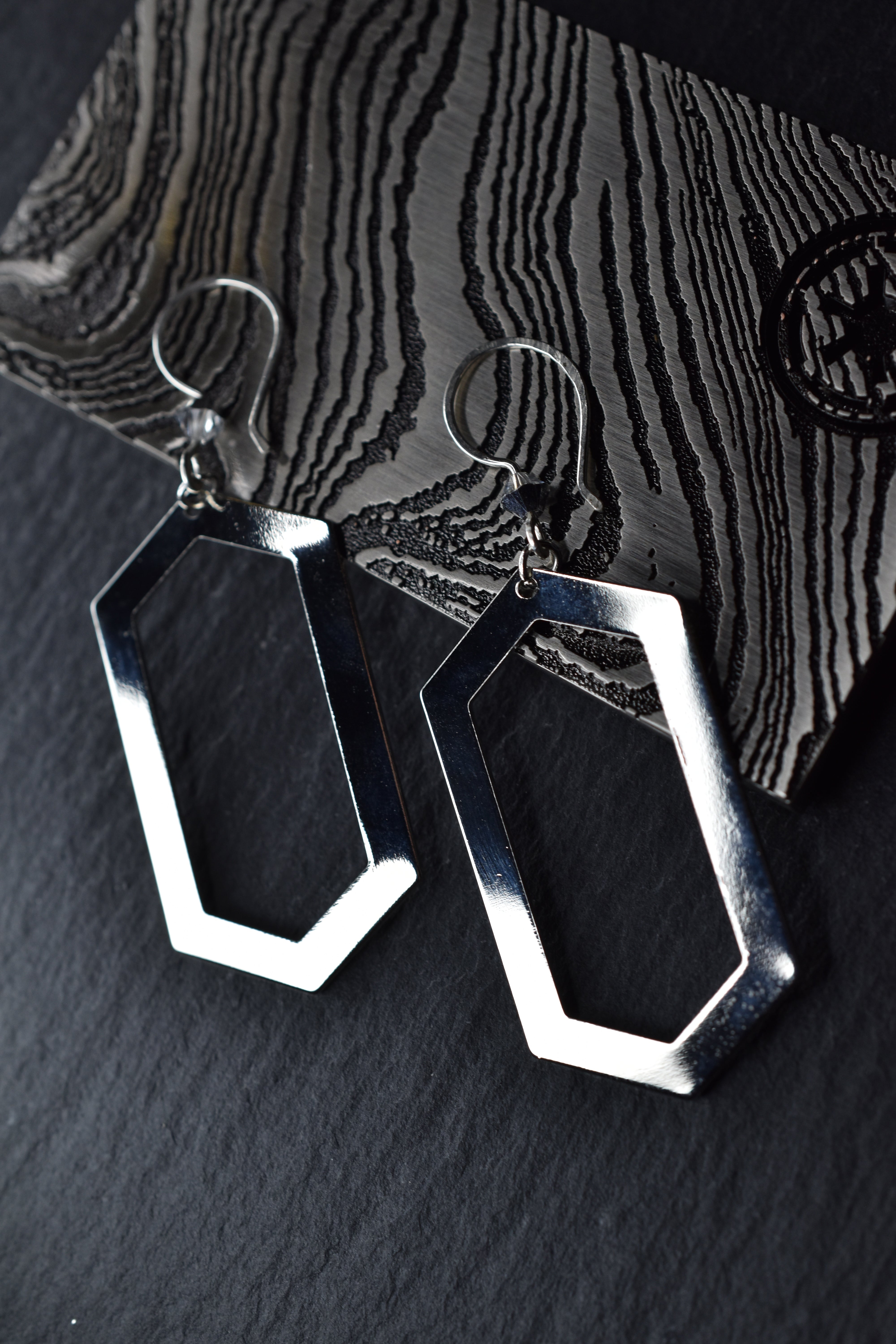 Heart of the Steadfast Earrings image 1