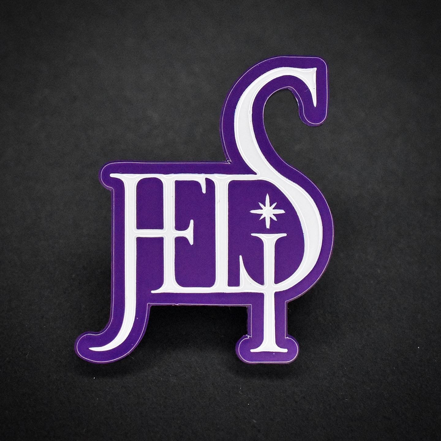 Duality Ambigram Enamel Pin image 6