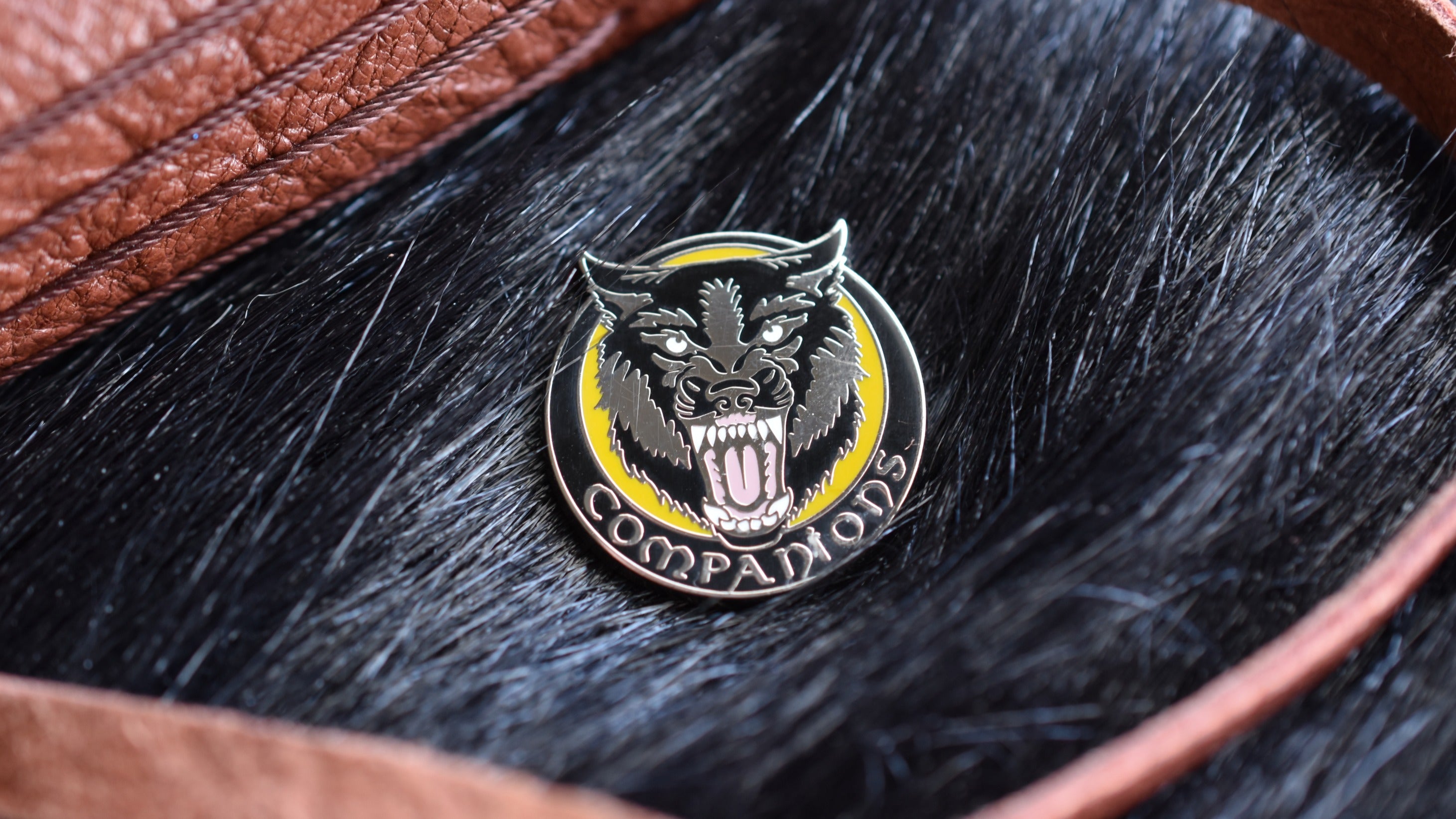 Companions Enamel Pin image 0